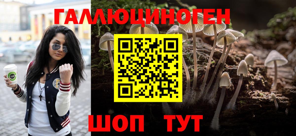 Псилоцибиновые грибы MAGIC MUSHROOMS Новоалтайск